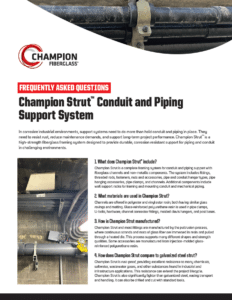 Champion Strut® FAQ Guide Cover